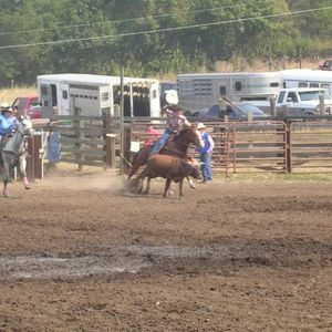 Meet your Posher, Jw